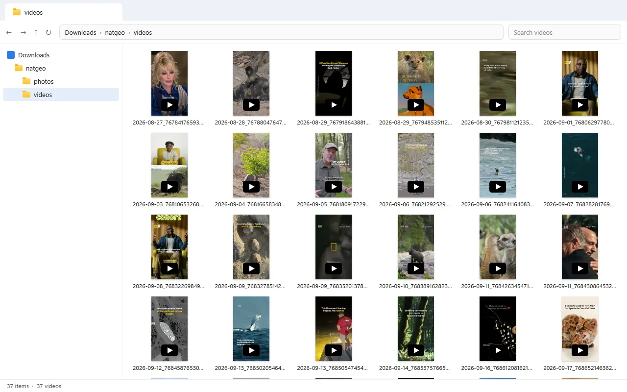 The downloaded videos folder of a TikTok profile