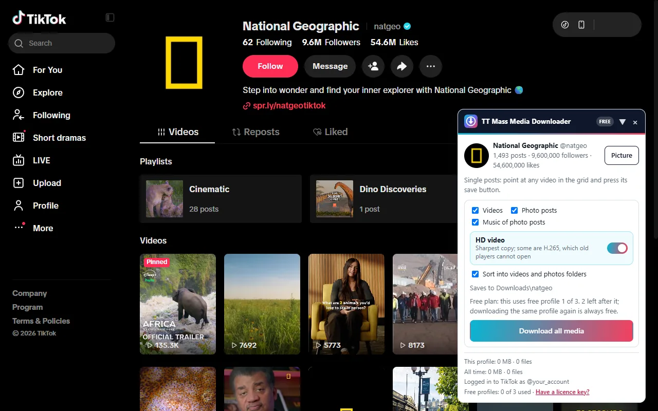 The TT Mass Media Downloader panel on a TikTok profile, with Videos, Photo posts and HD video options