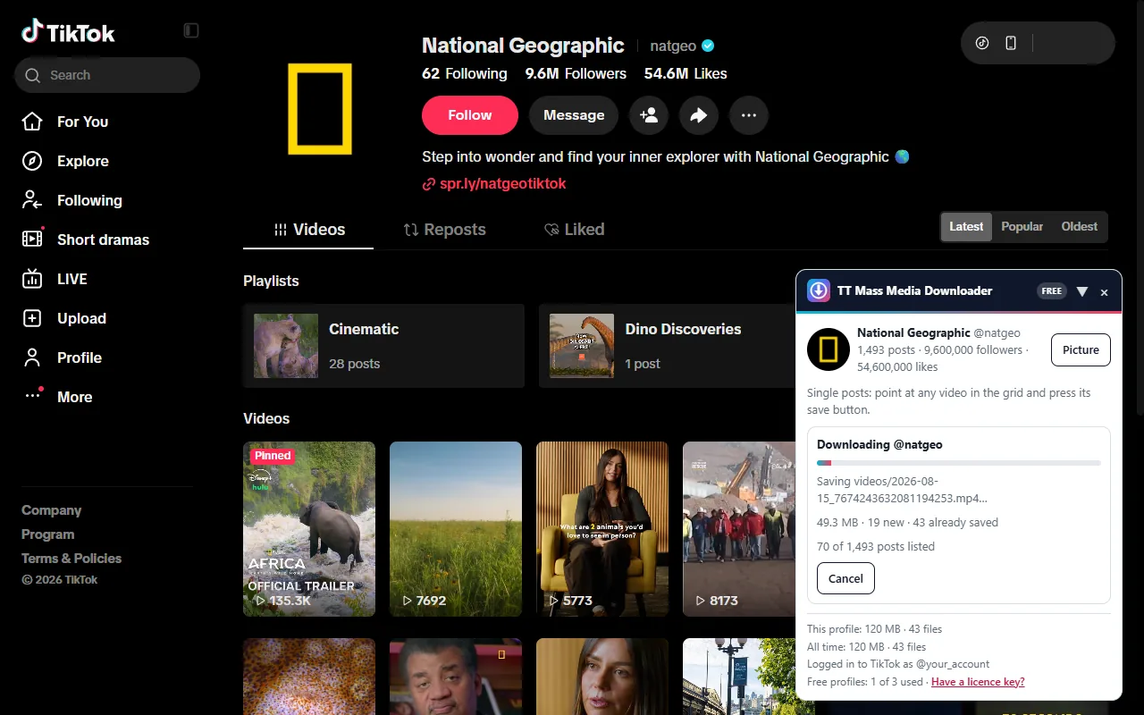 The panel during a download of a TikTok profile, counting new and already-saved files